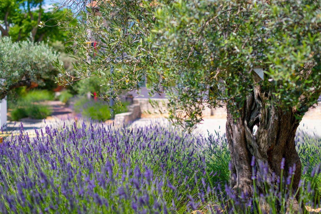 Terre De Provence Hotel & Spa Le Pontet Kültér fotó